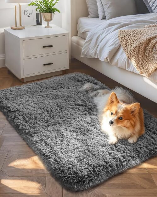 Ophanie Small Rug Upgrade Non Slip Throw Bedside Area Rugs, Fluffy Soft Grey Mini Bedroom Carpet, Affordable Door Entryway Indoor Inside Front Entrance Dog 2×3 Mat, Home Decor Aesthetic, Nursery